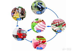 湖南 展开生猪产业化发展及供给侧结构性改革调研